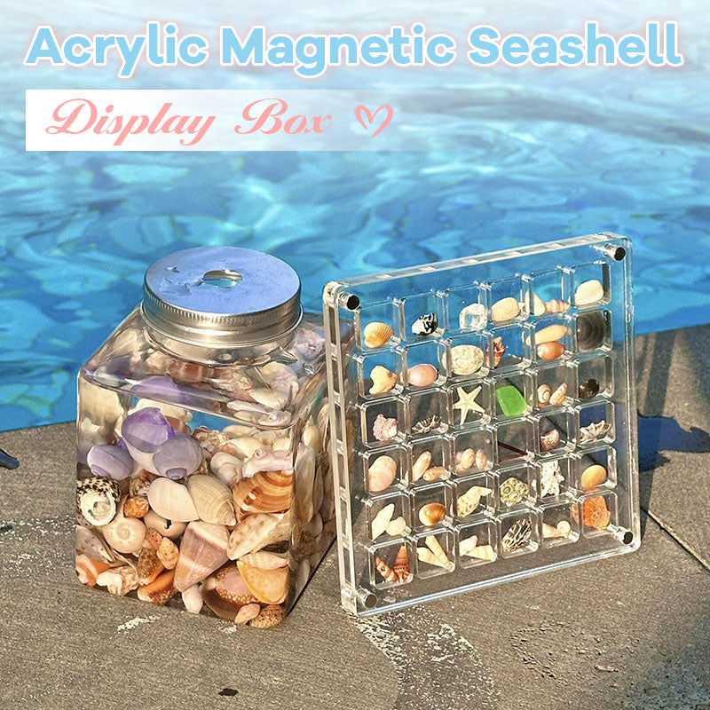 🐚Acrylic Magnetic Seashell Display Box