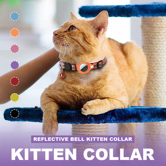 Reflective Bell Kitten Collar