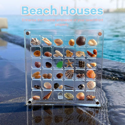 🐚Acrylic Magnetic Seashell Display Box