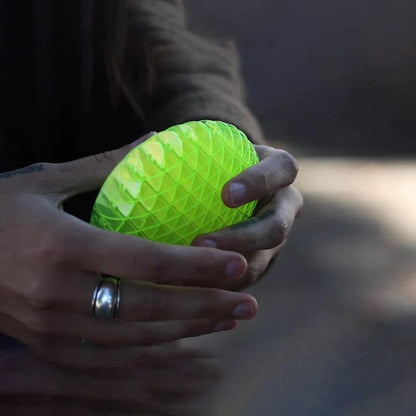 Sensory Slug Fidget Toy