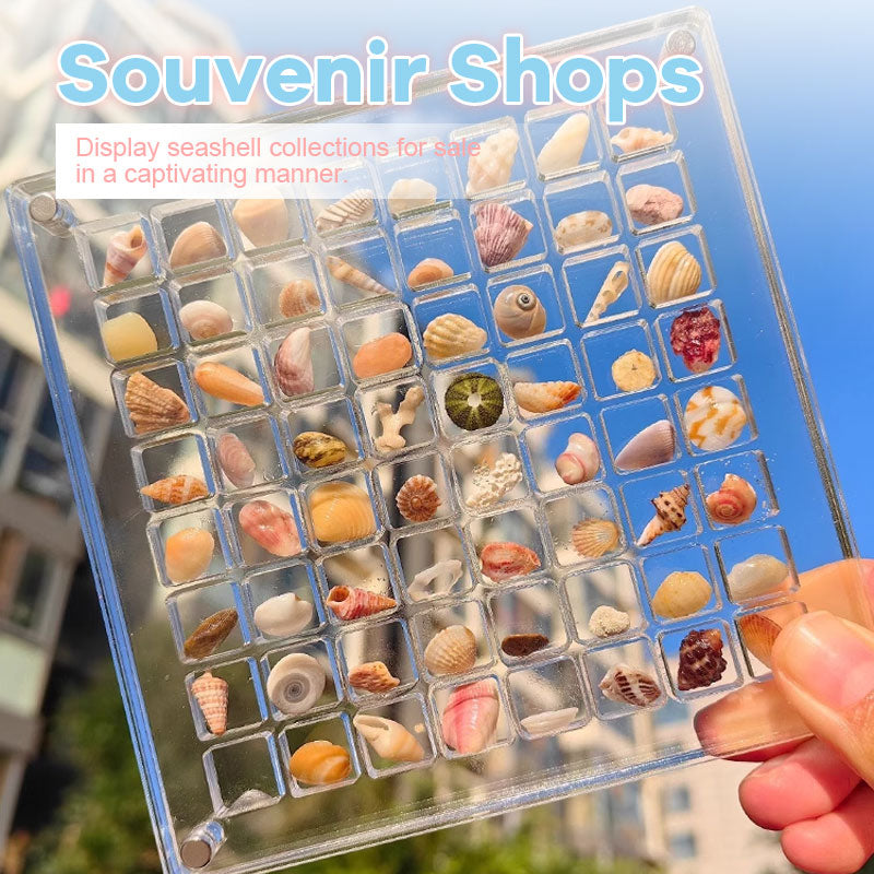 🐚Acrylic Magnetic Seashell Display Box