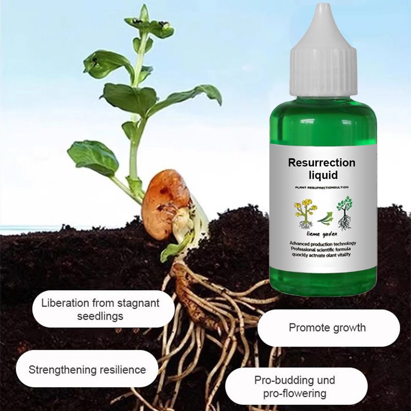 👍[Recommended by plant experts]🌿Plant and Flower Activation Liquid Solution-（Great Sale⛄BUY 3 Get 10% OFF）