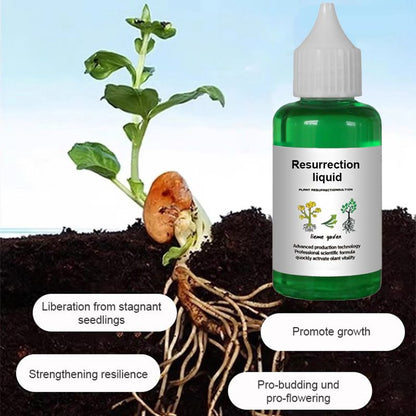 👍[Recommended by plant experts]🌿Plant and Flower Activation Liquid Solution-（Great Sale⛄BUY 3 Get 10% OFF）