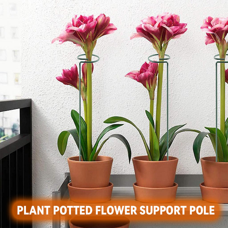 Plant Potted Flower Support Pole